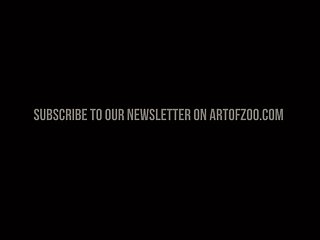 Art Of Zoo Xxx Compilation
