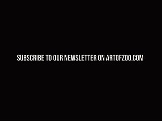 Art Of Zoo Xxx Compilation
