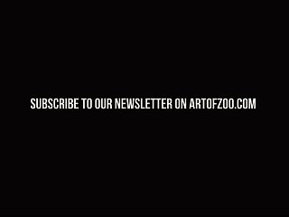 Art Of Zoo Xxx Compilation