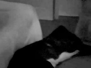 Shhhhiiitttttttt That's Sooo Goooodddd I Moaned