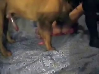 Locked Than Hannibal Lechter. It Was Going To Take A