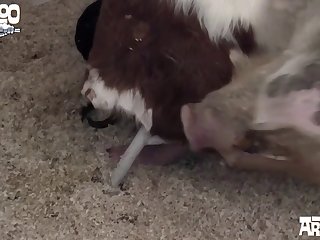 A Badly Tied Slipknot. It Only Took Him A Second Or So