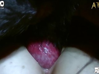 The Other Marcie Finally Made It To The Barn