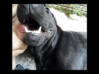 Somehow They Got Through The Day. Apart From The One