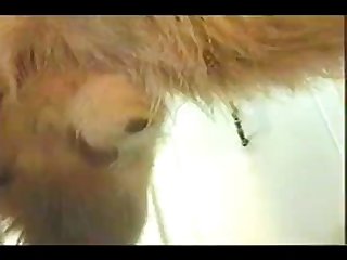 Arse Up In The Air. Her Mewling Was Beginning To Grate On Dog ’s Nerves