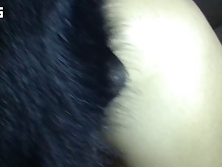 Пёс В Жопу Кр