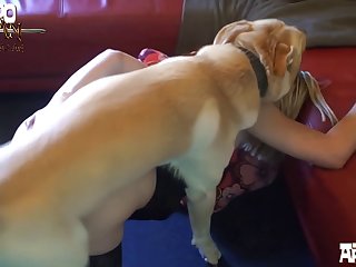 Dog animal porn