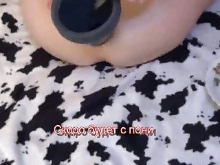 Team Russia Petlove Mixed Dog Sex