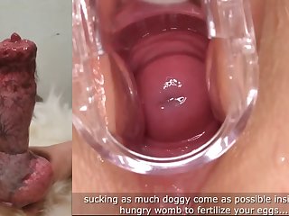 Cervical Breeding Amp; K9 Insemination