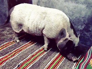 Seamless Flow Yasmin Stall Tale