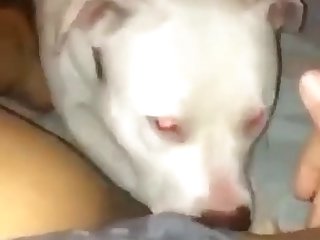 She Wants It