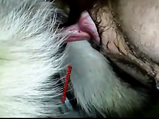 Gsd Breaking A Tie And The Gushing That Comes Out Multiple Views .