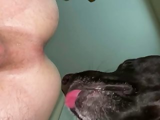 How I’d Like To Get Fucked..