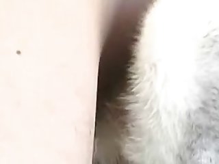 Docking Husky