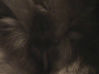 Bo S Tailhole And Brief Fingering.wmv