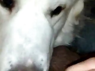 Rimming Pup