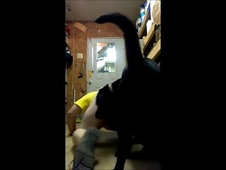 Buster Loves His Bitch