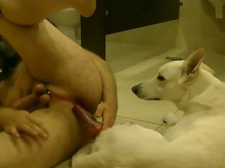 Kinky Dog Fuck