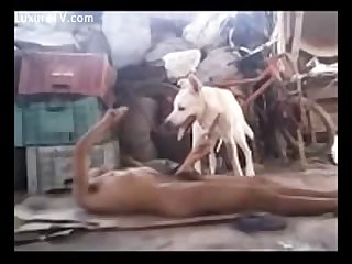 Man And Dog Play Involves A Variety Of Positions