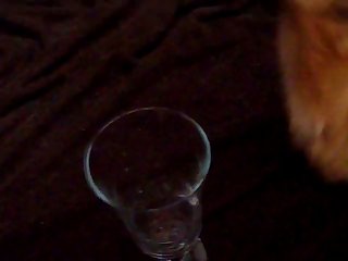 Precum Delight