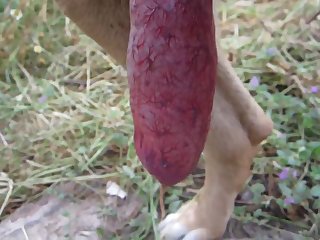 Drip.wmv