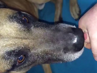 Trim.8b7d596c 5920 4262 B2b0 4ac9632cd93e.mov