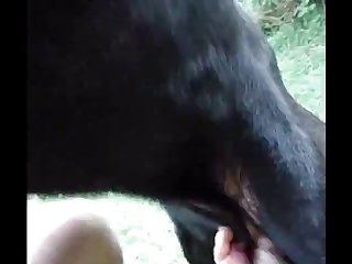 Aluzky Gives Handjob 4