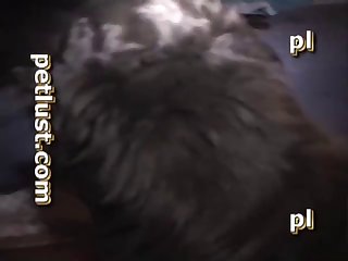 1 Guy 2 Dogs 3 Dicks Pc141 Petlust