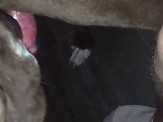 Trim.e0d44d59 09f0 4610 A068 951afbc5a1b9.mov