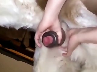 Jerking My Dog Off