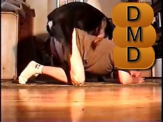 61796 Man Rottweiler