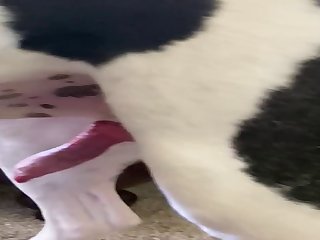 A Descent Into Pov Euphoria