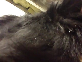 Trim.cd34e279 81c7 4765 A08c 7a2fa91e5f43.mov