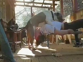 182874 5f34d84da140d19d4d466070ec42be7c