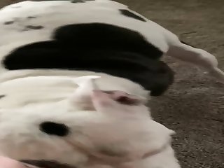 Footjobs Anyone