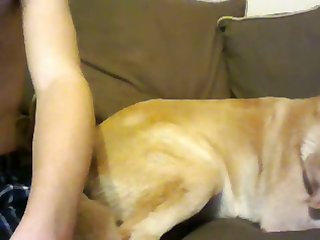 Boy And Dog On Teh Couch