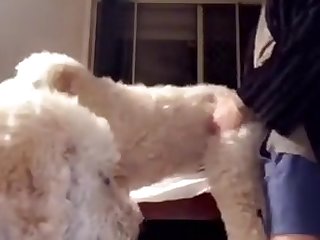 Boy Fucks His Mothers Dog In The Ass