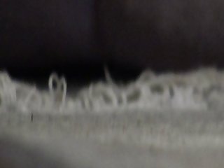 Kiwiboy Miss T And Mate