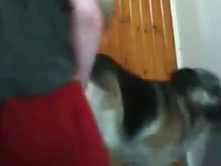 Boy Fucks Dog
