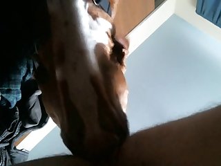 My Boy Pounds My Ass