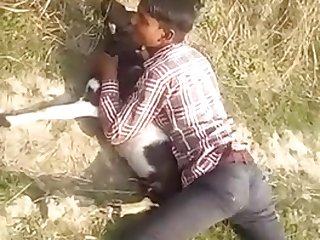 Indian Boy Fuck Goat Ass
