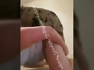 Oh Good Boy