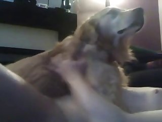 Young Boy Fucking With Dog In Missionary