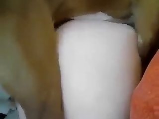 Girl Let Her Dog Rape Her Ass
