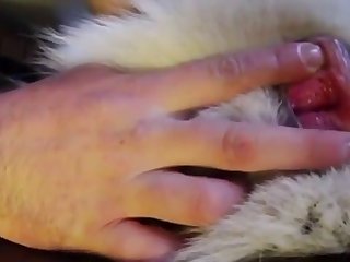 Husky Pussy Fingered Amp; Spread