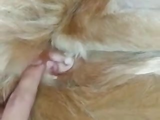 Pussy Play