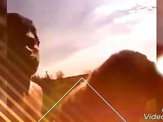 Anubis Chacal Y Mastina Hermosa