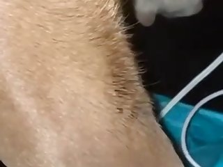 Trim 555e4887 Ea5d 4c48 B812 640ee1af252e