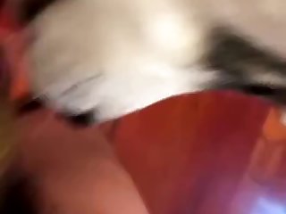 My Dog Licking Me