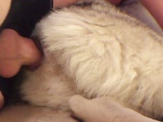 Husky Deep Creampie
